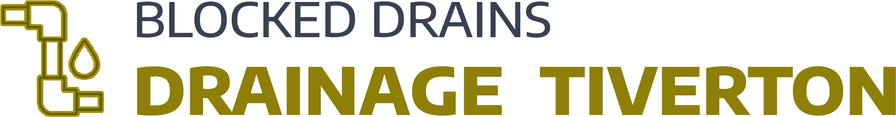 website logo